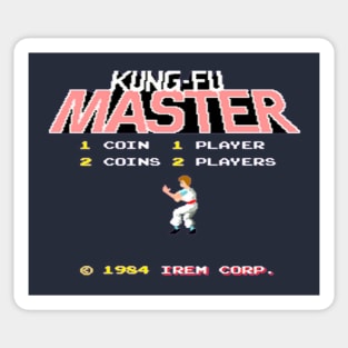 Mod.1 Arcade Kung-Fu Master Video Game Sticker